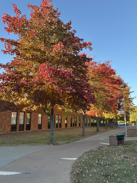 Fall Foliage at Columbia-Greene