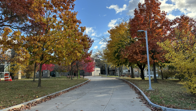 Photo of trees with fall colors.