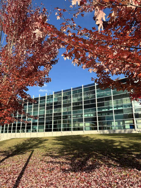 Photo of trees with fall colors.