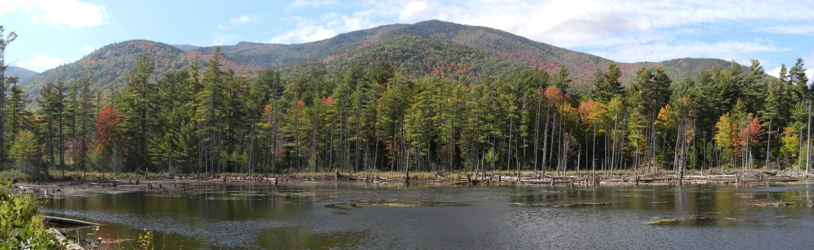 Ausable Flume Train Wide Shot