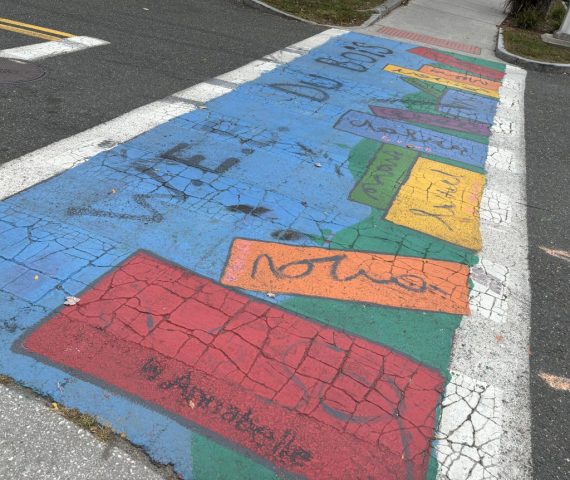 A photo of street art in a crosswalk.